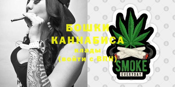 крисы Ельня