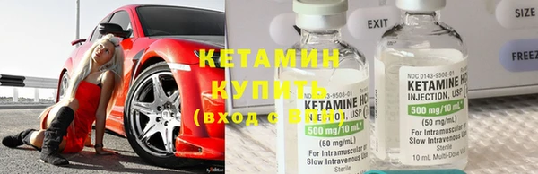 крисы Ельня