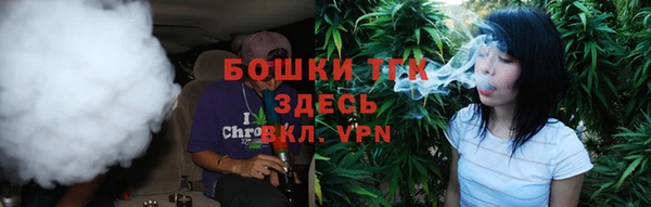 крисы Ельня