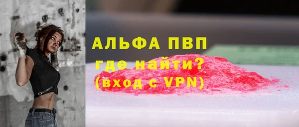 крисы Ельня