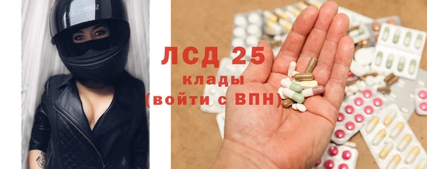крисы Ельня