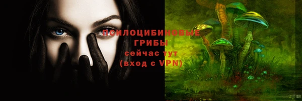 прущие крисы Елизово