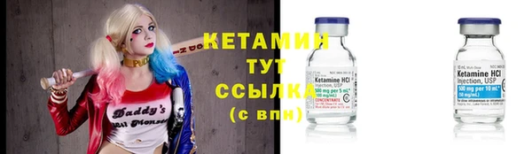 крисы Ельня