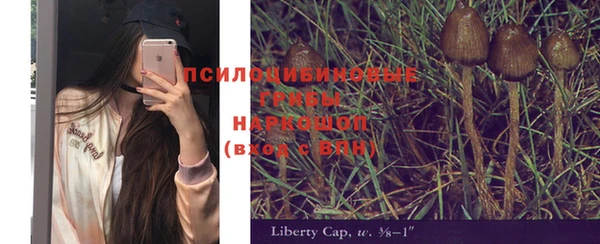крисы Ельня
