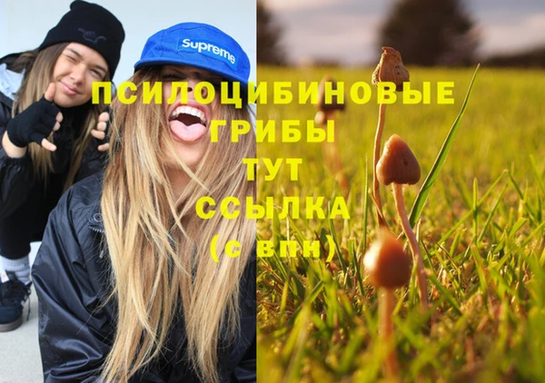 прущие крисы Елизово