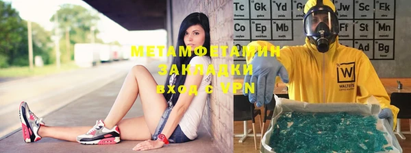 крисы Ельня