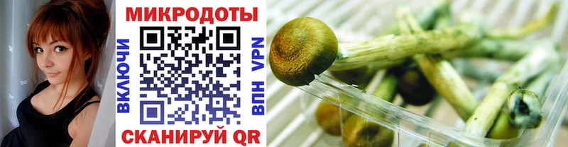 Галлюциногенные грибы мухоморы Калач-на-Дону