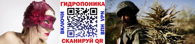 Купить закладки  Калач-на-Дону  МАРИХУАНА OG Kush 